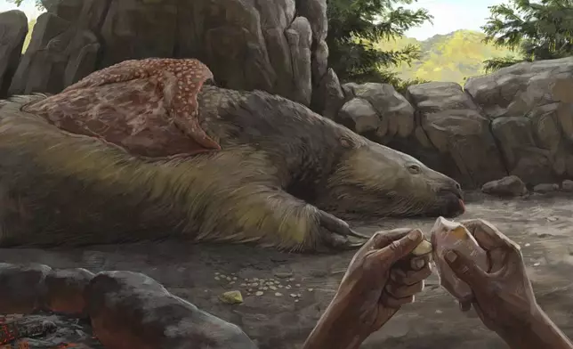 This illustration provided by researchers depicts a person carving an osteoderm from a giant sloth in Brazil about 25,000 to 27,000 years ago. (Júlia d'Oliveira via AP)