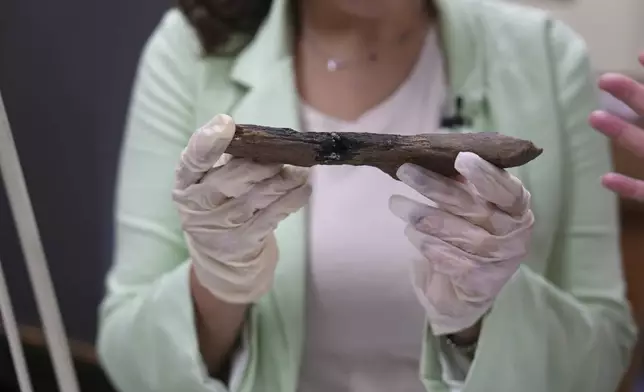 Thaís Pansani holds a giant sloth rib bone from central Brazil dated to about 13,000 to 15,000 years ago, which is thought to be burned by human-made fire, in the Smithsonian's National Taphonomy Reference Collection in Washington, on July 11, 2024. (AP Photo/Mary Conlon)