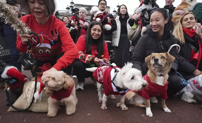 People and dogs take part during the Rescue Dogs of London and Friends Christmas Jumper Parade, outside Buckingham Palace in central London on Saturday Nov. 30, 2024. PA Photo. (James Manning/PA via AP)