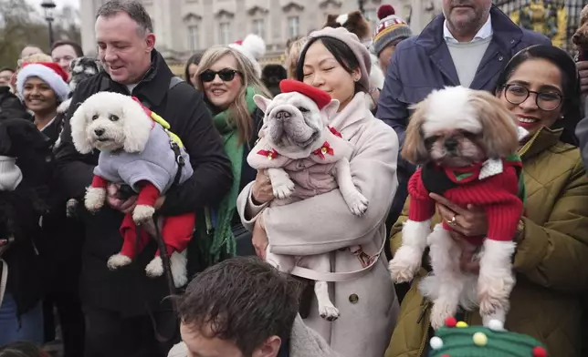 People and dogs take part during the Rescue Dogs of London and Friends Christmas Jumper Parade, outside Buckingham Palace in central London on Saturday Nov. 30, 2024. ( James Manning/PA via AP)