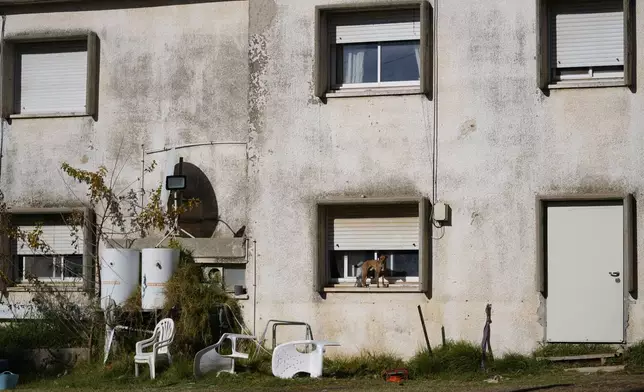 A dog stands in a window in the kibbutz of Ein Zivan in the Israeli-annexed Golan Heights, which most of the world considers occupied Syrian territory, Thursday, Dec. 19, 2024. (AP Photo/Matias Delacroix)