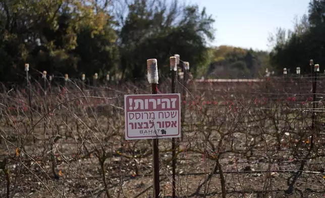 A sign in Hebrew reading, "Warning, sprayed area, harvest forbidden," stands in a field of the Bahat winery in the kibbutz of Ein Zivan in the Israeli-annexed Golan Heights, which most of the world considers occupied Syrian territory, Thursday, Dec. 19, 2024. (AP Photo/Matias Delacroix)