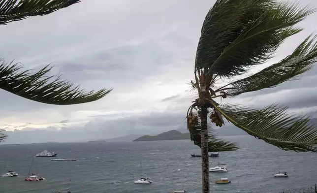 This photo provided Sunday Dec.15, 2024 by the French Army shows palm tress during strong winds in the French territory of Mayotte in the Indian Ocean, after Cyclone Chido caused extensive damage with reports of several fatalities, Saturday Dec.14, 2024. (Etat Major des Armées via AP)