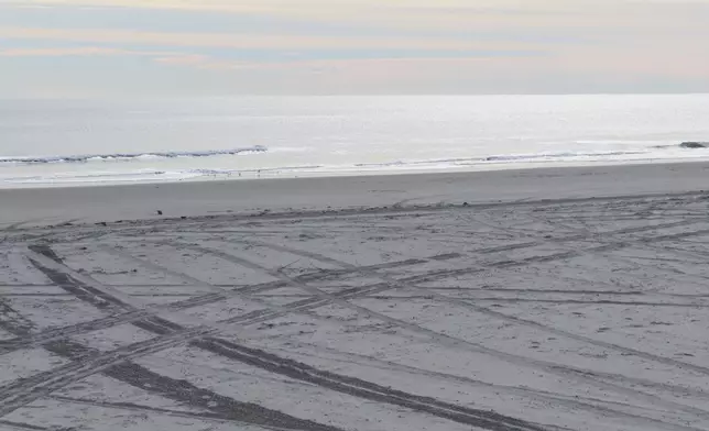 Tire tracks cover the recently widened beach in North Wildwood, N.J. on Nov. 27, 2024, days before the city was to approve an agreement ending a decade-long battle with the state over the condition of the city's beaches. (AP Photo/Wayne Parry)