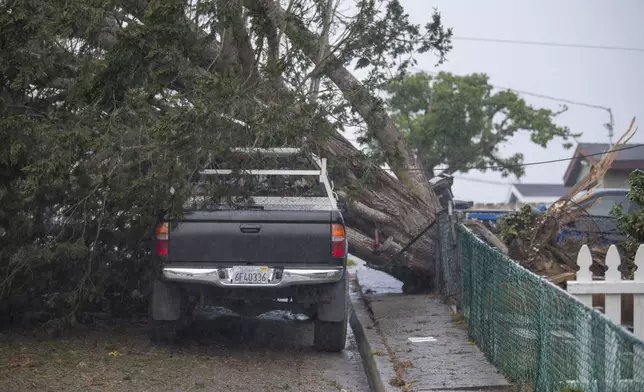 A truck is damaged after a large tree fell across a street in Seaside, Calif., Saturday, Dec. 14, 2024. (AP Photo/Nic Coury)