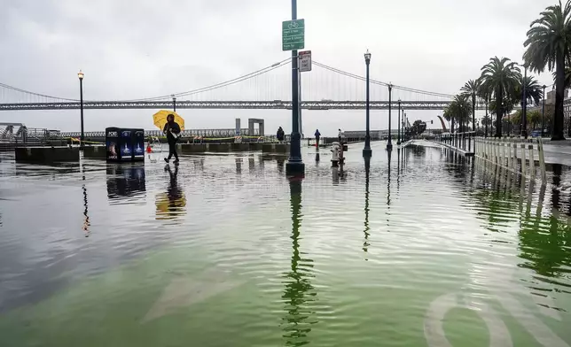 Water from the San Francisco Bay spills onto the Embarcadero as a result of high tides and storm-driven waves on Saturday, Dec. 14, 2024, in San Francisco. (AP Photo/Noah Berger)