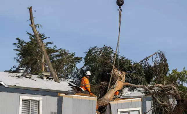 Workers remove a large tree that fell into a mobile home in Seaside, Calif., Saturday, Dec. 14, 2024. (AP Photo/Nic Coury)