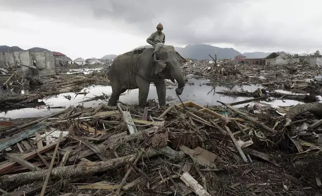 An elephant which belongs to forest ministry removes debris Monday Jan. 10, 2005 in Banda Aceh, Indonesia. (AP Photo/Eugene Hoshiko, File)