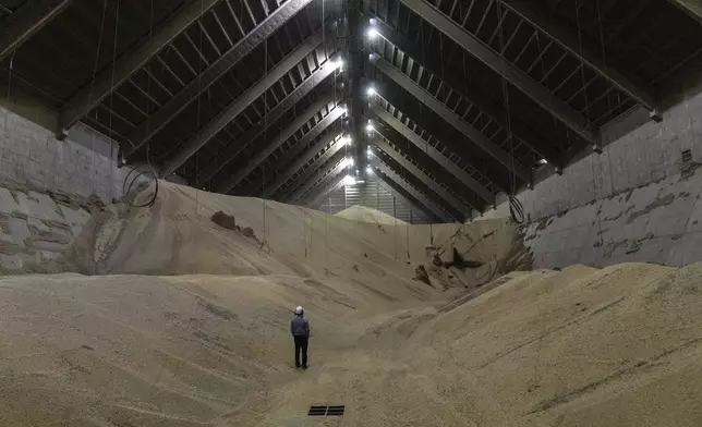 A worker stands in a soybean warehouse at the Molinos Agro agroindustrial complex on the banks of the Parana River in San Lorenzo, Argentina, Tuesday, Dec. 3, 2024. (AP Photo/Rodrigo Abd)