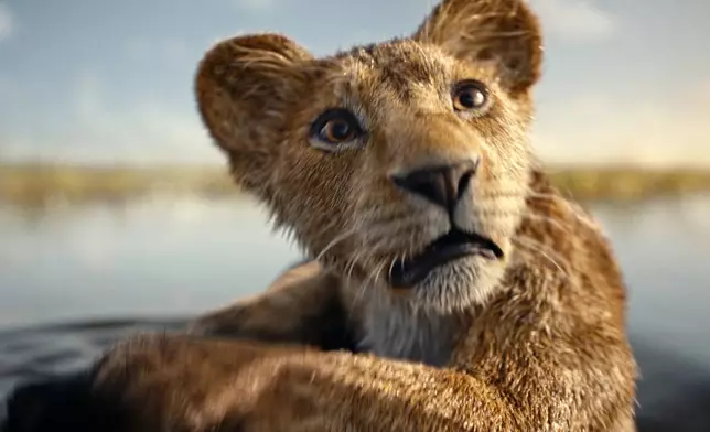 This image released by Disney shows a young Mufasa, Mufasa, voiced by Braelyn Rankins, in a scene from "Mufasa: The Lion King." (Disney via AP)
