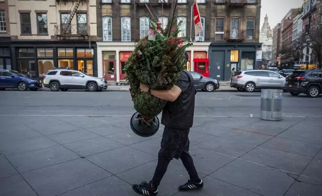 Andrew Leitz carries a Christmas tree from the SoHo Trees tree stand to his apartment building, Tuesday, Dec. 17, 2024, in New York. (AP Photo/Julia Demaree Nikhinson)