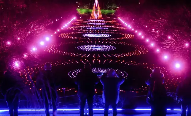 People visit Lightscape at Brooklyn Botanic Garden, Friday, Dec. 13, 2024, in New York. (AP Photo/Julia Demaree Nikhinson)