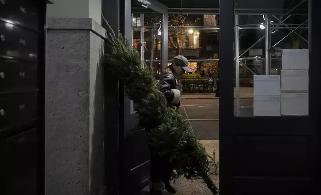 Kiwha Lee, a visual artist from New York, carries a Christmas tree into her apartment building, Tuesday, Dec. 17, 2024, in New York. (AP Photo/Julia Demaree Nikhinson)