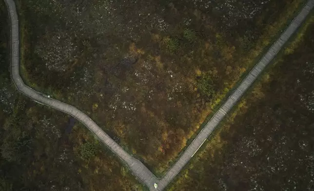 A boardwalk is seen from above in the Clara Bog Nature Preserve, in Clara, Ireland, Wednesday, Oct. 16, 2024. (AP Photo/Bram Janssen)