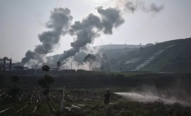 A farmer tends to a field as steam rises from a geothermal power plant in Dieng, Central Java, Indonesia, Nov. 15, 2024. (AP Photo/Beawiharta)