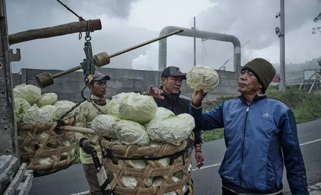 Farmers weigh cabbages as steam rises from a geothermal power plant in Dieng, Central Java, Indonesia, Nov. 15, 2024. (AP Photo/Beawiharta)