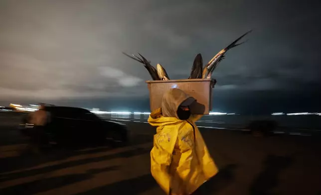 A fisherman carries his catch of the day to market in Manta, Ecuador, on Sept. 24, 2024. (AP Photo/Dolores Ochoa)