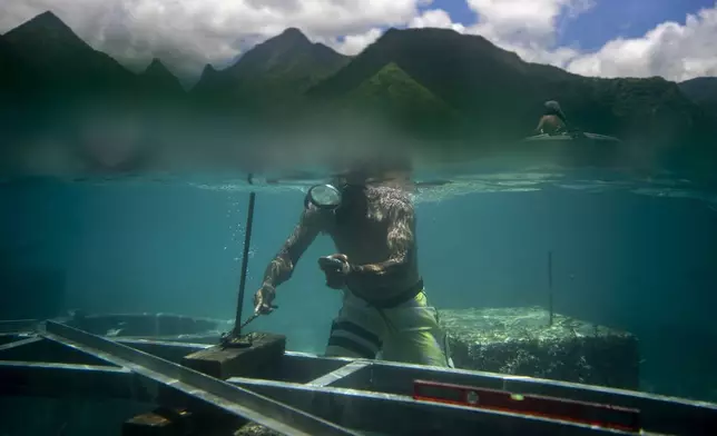 A worker inspects the permanent foundations being constructed on the coral reef for a judging tower to be used during the Olympic Games surf competition in Teahupo'o, Tahiti, French Polynesia, on Jan. 12, 2024. (AP Photo/Daniel Cole)