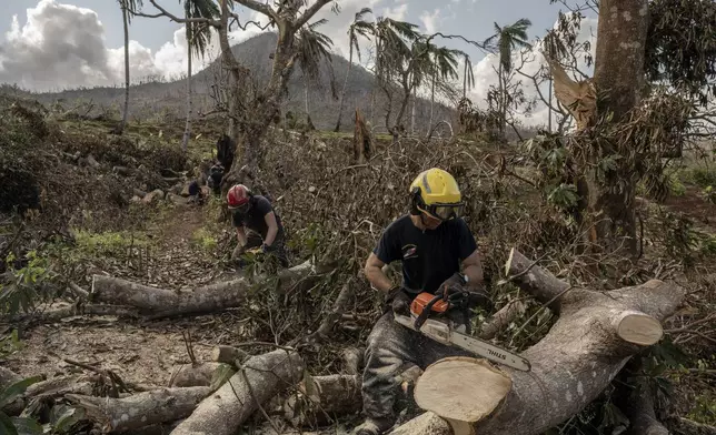 French civil security officers cut trees to open a road for heavy vehicles from Mayotte water authorities to repair water pipes in Mirereni, Mayotte, Friday, Dec. 20, 2024. (AP Photo/Adrienne Surprenant)