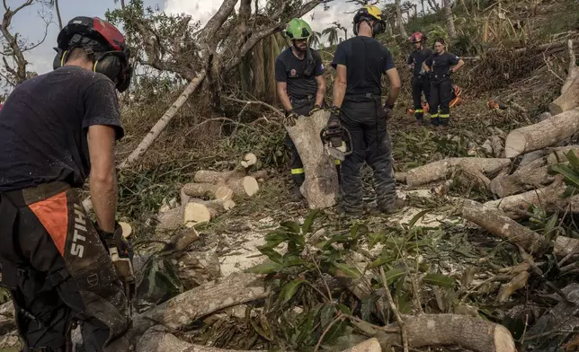 French civil security officers cut trees to open a road for heavy vehicles from Mayotte water authorities to repair water pipes in Mirereni, Mayotte, Friday, Dec. 20, 2024. (AP Photo/Adrienne Surprenant)