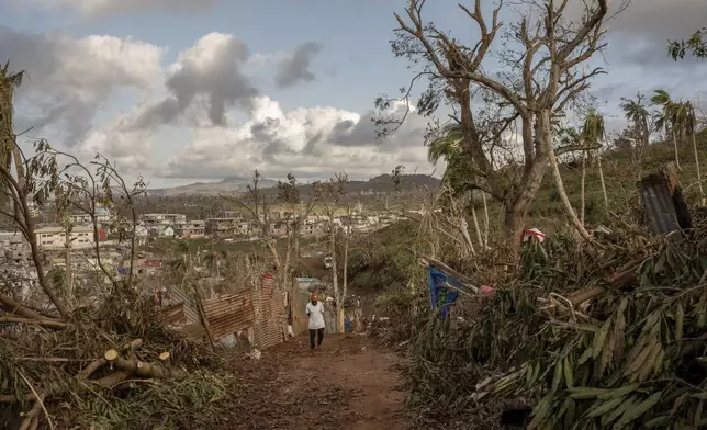 A man walks through shredded trees in the central city of Mirereni, Mayotte, Friday, Dec. 20, 2024. (AP Photo/Adrienne Surprenant