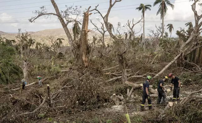 French civil security officers cut trees to open a road for heavy vehicles from Mayotte water authorities to repair water pipes in Mirereni, Mayotte, Friday, Dec. 20, 2024. (AP Photo/Adrienne Surprenant)