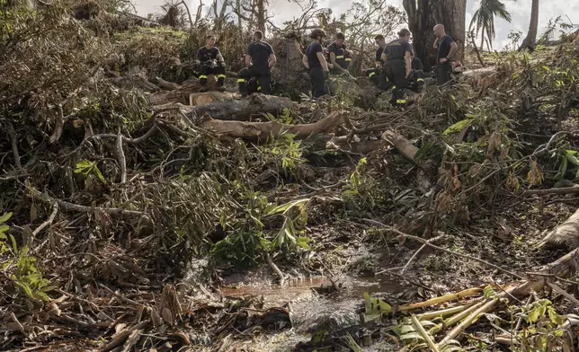 French civil security officers cut trees to open a road for heavy vehicles from Mayotte water authorities to repair water pipes in Mirereni, Mayotte, Friday, Dec. 20, 2024. (AP Photo/Adrienne Surprenant)