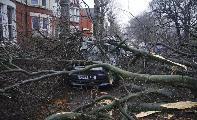 A car is seen underneath a fallen tree in Liverpool, England, during storm Darragh, Saturday, Dec. 7, 2024. (Peter Byrne/PA via AP)