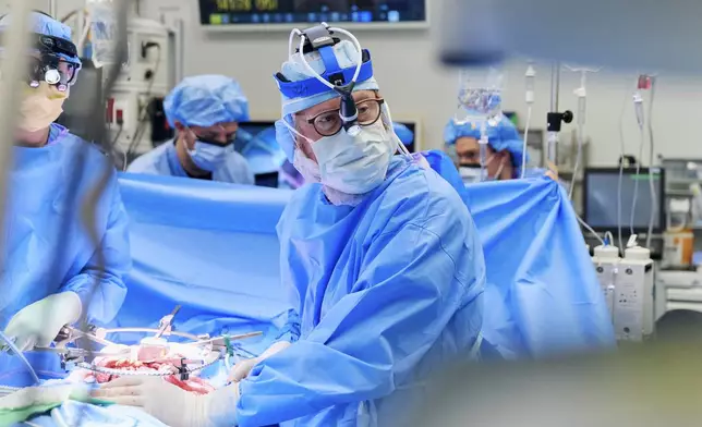 Robert Montgomery, MD, DPhil, the H. Leon Pachter, MD, Professor of Surgery, chair of the NYU Grossman School of Medicine Department of Surgery, and director of the NYU Langone Transplant Institute, reviews a monitor during the gene-edited pig kidney transplant surgery at NYU Langone Health in New York City on Nov. 25, 2024. (Joe Carrotta/NYU Langone Health via AP)