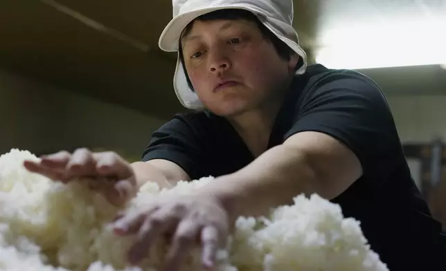 Sake brewer Mie Takahashi prepares steamed rice with koji mold for sake making in a temperature-controlled room at her Koten sake brewery in Okaya, central Japan, Saturday, Nov. 30, 2024. (AP Photo/Hiro Komae)