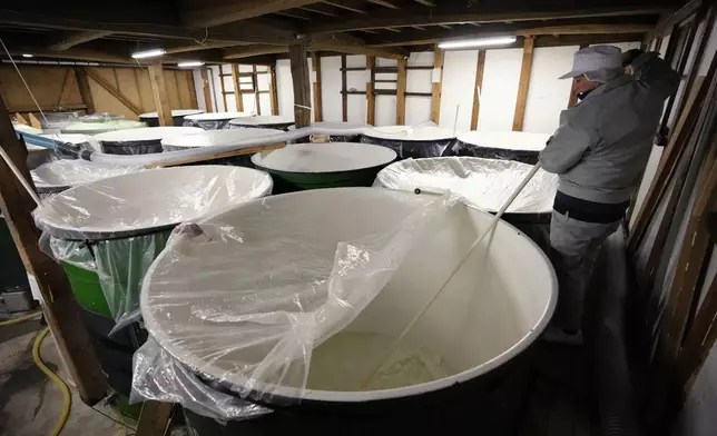 Sake brewer Mie Takahashi stirs mixture of steamed rice with koji mold and other ingredients in a tank as her early morning routine before her crew shows up at her Koten sake brewery in Okaya, central Japan, Saturday, Nov. 30, 2024. (AP Photo/Hiro Komae)