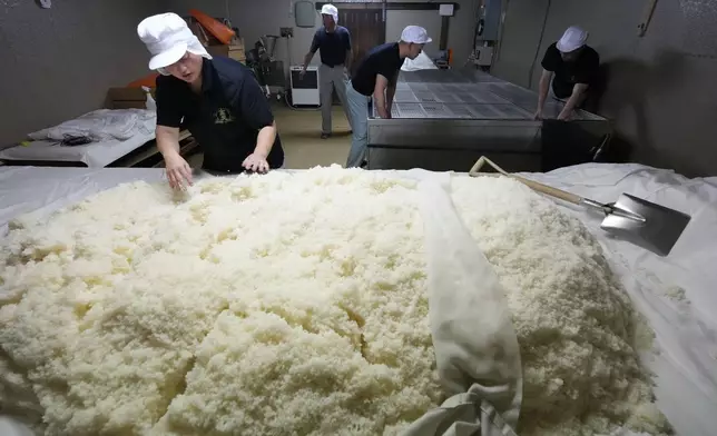 Sake brewer Mie Takahashi, left, prepares steamed rice with koji mold for sake making as her crew Shigeru Kikuchi, from second left, Daichi Ushiyama and Tatsuya Ogawa set up a table for the rice at the Koten sake brewery in Okaya, central Japan, Saturday, Nov. 30, 2024. (AP Photo/Hiro Komae)