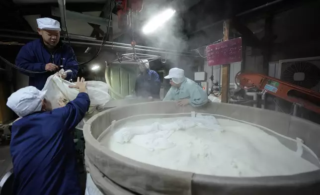 Sake brewer Mie Takahashi, far right, and her crew Tatsuya Ogawa, from left, Daichi Ushiyama and Shigeru Kikuchi work on a Japanese sake making process as they move steamed rice, front, into another unit at the Koten sake brewery in Okaya, Nagano prefecture, central Japan, Saturday, Nov. 30, 2024. (AP Photo/Hiro Komae)