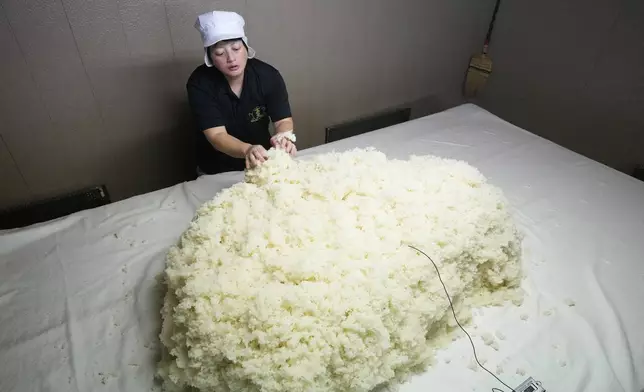 Sake brewer Mie Takahashi prepares a chunk of steamed rice with koji mold for sake making in a temperature-controlled room at her Koten sake brewery in Okaya, central Japan, Saturday, Nov. 30, 2024. (AP Photo/Hiro Komae)