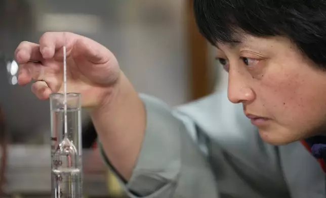 Sake brewer Mie Takahashi checks components of fermentation mash from different sake making processes in order to achieve certain qualities for each brand at her Koten sake brewery in Okaya, central Japan, Saturday, Nov. 30, 2024. (AP Photo/Hiro Komae)