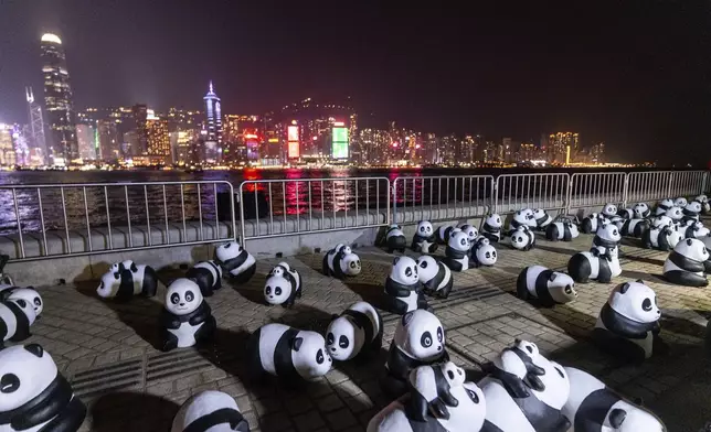 Panda sculptures are displayed at the waterfront of the Victoria Harbour during the panda-themed drone show in Hong Kong, Saturday, Dec. 28, 2024. (AP Photo/Chan Long Hei)