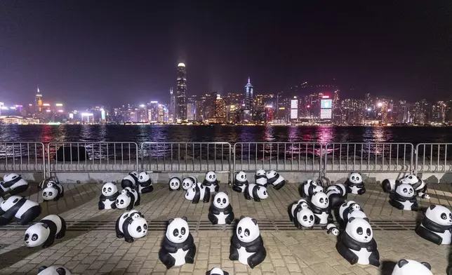 Panda sculptures are displayed at the waterfront of the Victoria Harbour during the panda-themed drone show in Hong Kong, Saturday, Dec. 28, 2024. (AP Photo/Chan Long Hei)