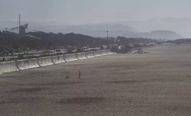 A person and their dog wander along Ocean Beach in San Francisco during a tsunami warning on Thursday, Dec. 5, 2024. (AP Photo/Emily Steinberger)