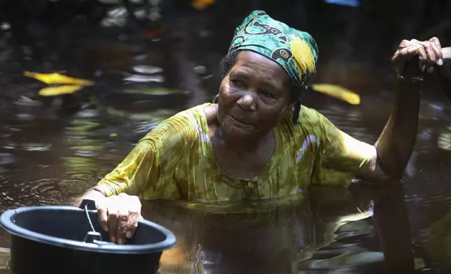 Berta Sanyi stands chest deep in water as she collects clams in a mangrove forest where only women are permitted to enter in Jayapura, Papua province, Indonesia, Oct. 2, 2024. (AP Photo/Firdia Lisnawati)