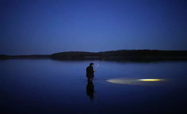 Mark Ojibway wades in shallow water looking for walleye during the spring spearfishing season at the Chippewa Flowage on the Lac Courte Oreilles Reservation, near Hayward, Wis., April 14, 2024. (AP Photo/John Locher)