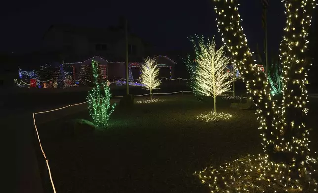 Trees are decorated with holiday lights in a neighborhood in Mesa, Ariz., Thursday, Dec. 12, 2024, in Mesa, Ariz. (AP Photo/Ross Franklin)