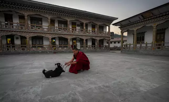 A monk plays with a dog outside a monastery in Samdrup Jongkhar, Bhutan, Sunday, Jan. 7, 2024. (AP Photo/Anupam Nath)