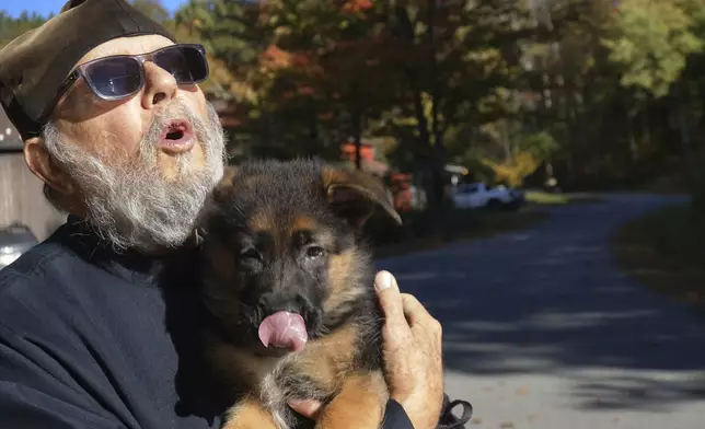 Brother Luke, an Orthodox Christian monk, holds his 10-week-old German shepherd Pyrena on the grounds of the New Skete monastery, where he directs the dog breeding program that has provided both financial and spiritual support to the community for decades outside Cambridge, N.Y., on Oct. 12, 2024. (AP Photo/Giovanna Dell'Orto)