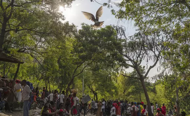 A dove takes flight as people attend the St. George vodou celebration in Port-au-Prince, Haiti, April 24, 2024. Hundreds of Haitians flocked to the hill for the annual celebration of St. George, a Christian martyr who was believed to be a Roman soldier and is revered by both Catholics and Vodouists. (AP Photo/Ramon Espinosa, File)