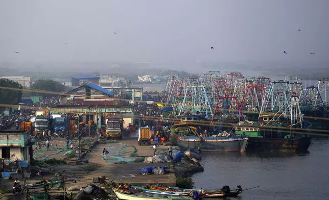 Fishermen unloading their catch from their boats anchored at the harbor of Nagapattinam, one of the severely damaged town during 2004 tsunami, India, Sunday, Dec. 15, 2024. (AP Photo/Mahesh Kumar A.)