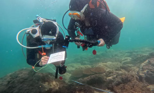 Results of Reef Check 2024 announced  Source: HKSAR Government Press Releases
