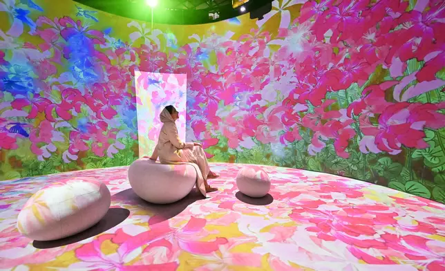 "Immersive Hong Kong" roving exhibition opens in Dubai  Source: HKSAR Government Press Releases