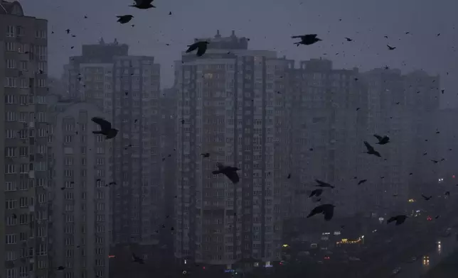 Crows fly above multi-storey apartment buildings during a blackout in Kyiv, Ukraine, Friday Nov. 29, 2024. (AP Photo/Efrem Lukatsky)