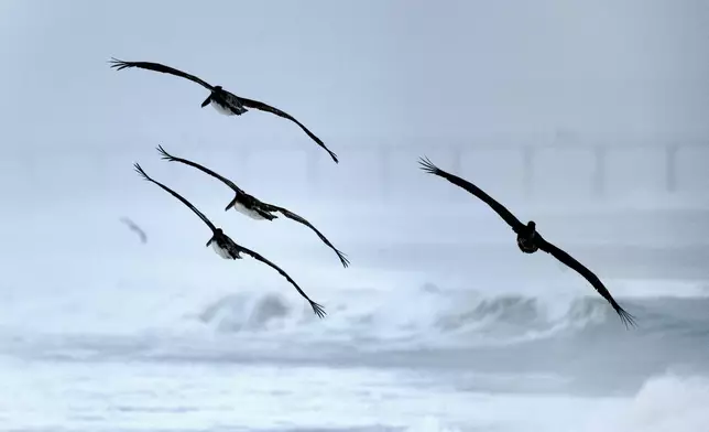 Birds fly past the Hermosa Beach Pier as storm surf pounds the beach on Tuesday, Dec. 24, 2024 in Manhattan Beach, Calif. (AP Photo/Richard Vogel)