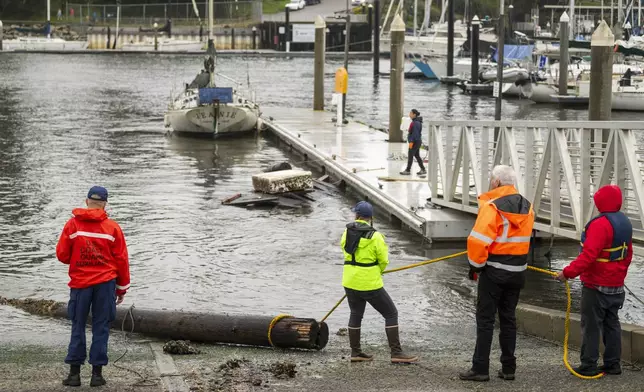 A damaged dock piling is pulled out of Santa Cruz Harbor in Santa Cruz, Calif., Tuesday, Dec. 24, 2024. (AP Photo/Nic Coury)